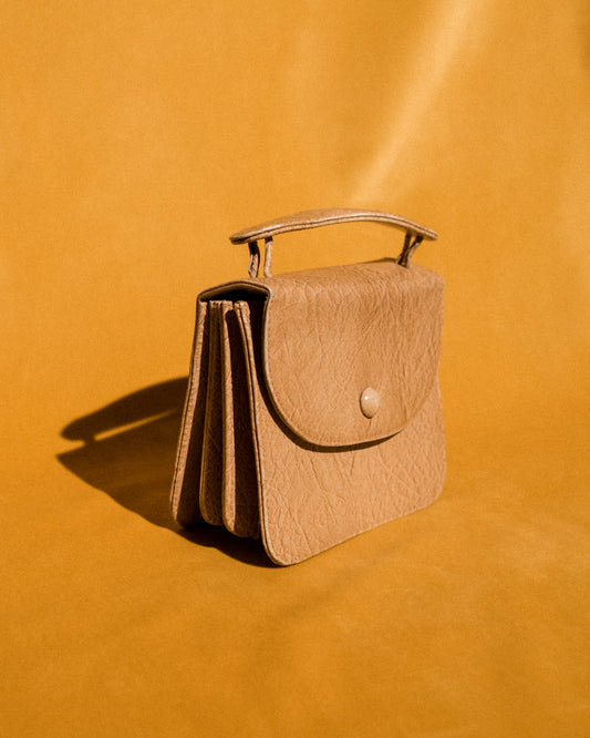 Vintage Accordion Mini Bag