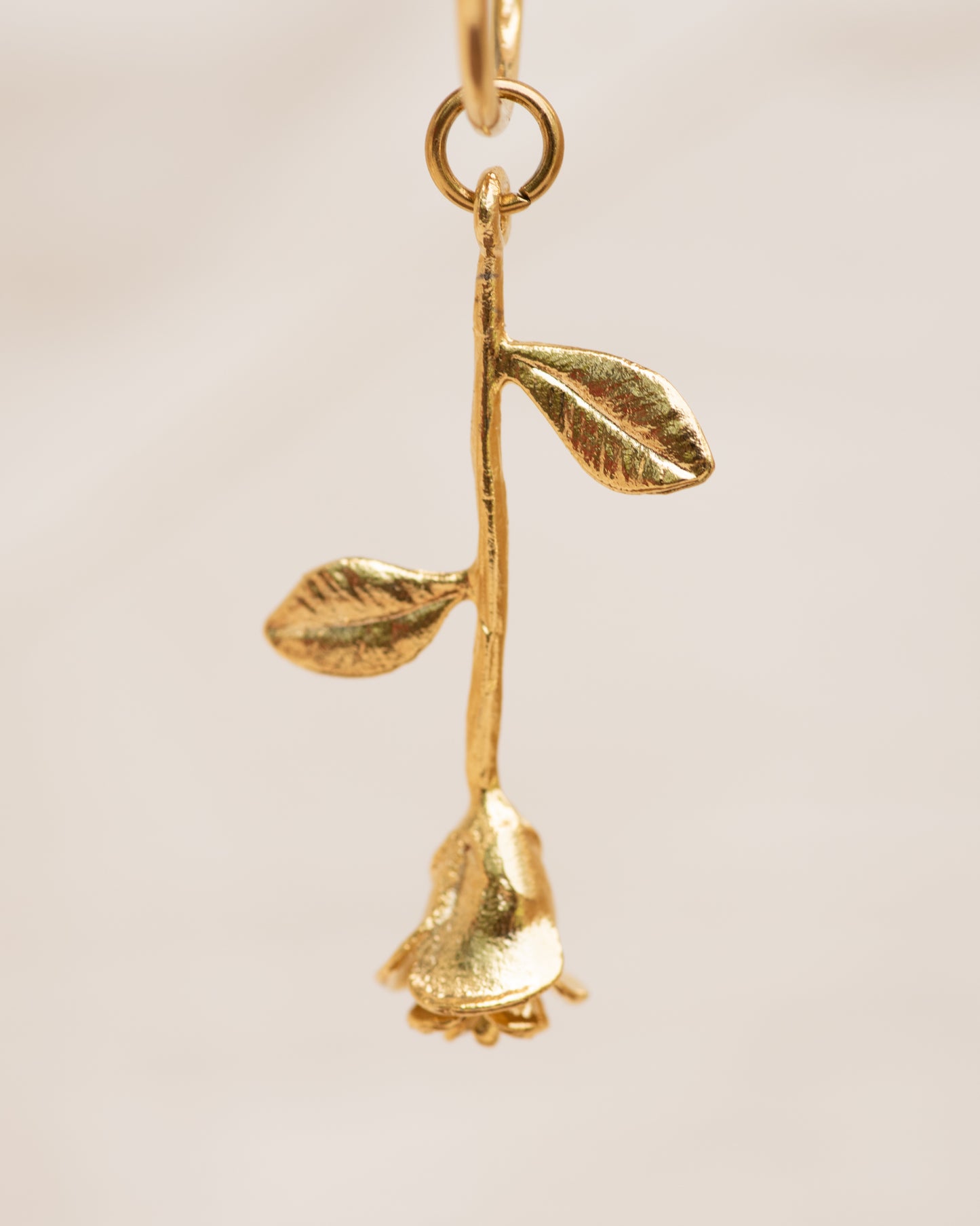Single Charm Hoop Earring (Gold Rose)